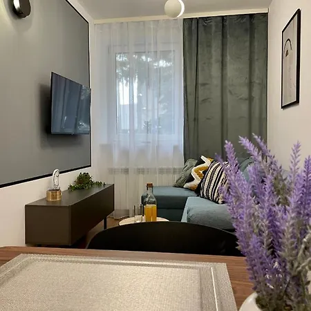 Przestronny W Centrum Miasta Apartment
