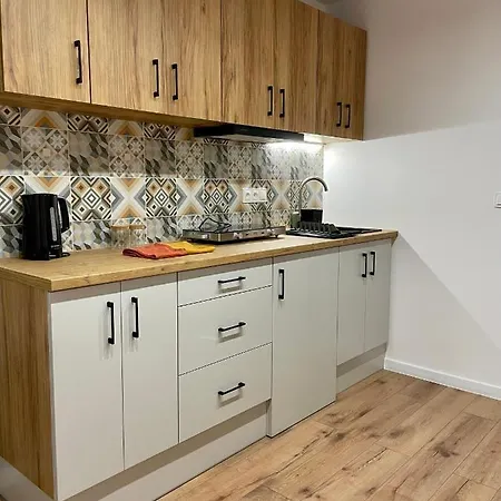 Przestronny W Centrum Miasta * Ράντομ