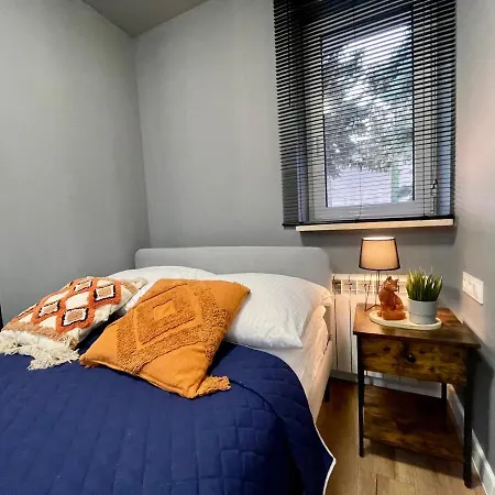 Przestronny W Centrum Miasta Διαμέρισμα