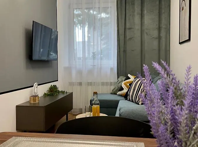 Przestronny W Centrum Miasta Daire