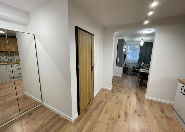 Daire Przestronny W Centrum Miasta *