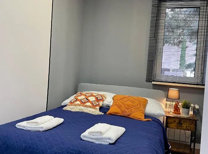 Przestronny W Centrum Miasta